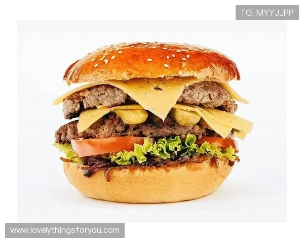 汉堡战术解析 汉堡战术解析