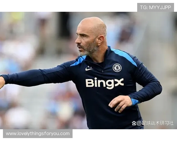 亚历山大·米特罗维奇本赛季英超表现稳健 亚历山大·米特罗维奇本赛季英超表现稳健